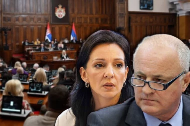 GROTESKAMA BLOKADERA NIKAD KRAJA! Marinika Tepić osula paljbu po tužiocu Mladenu Nenadiću - svi im se smeju! (VIDEO)