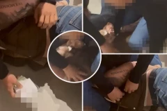 SAZNAJEMO! "VRAČARCI" UHAPŠENI U GALERIJI ZBOG IZNUDE! Policija pronašla kovertu punu para! (VIDEO)