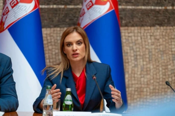 BRŽE I EFIKASNIJE OSTVARIVANJE PRAVA: Počele obuke zaposlenih za rad na platformi u sistemu SOZIS - oglasila se ministarka Đurđević Stamenkovski! (FOTO)