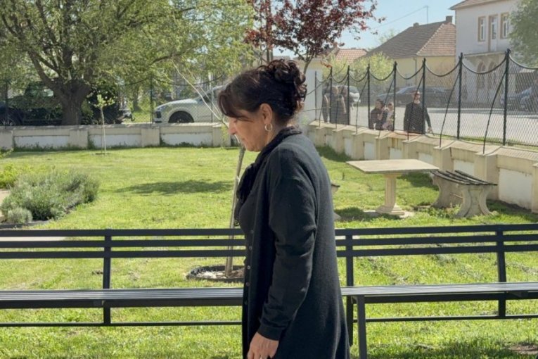 Darko Lazić, Dragan Lazić