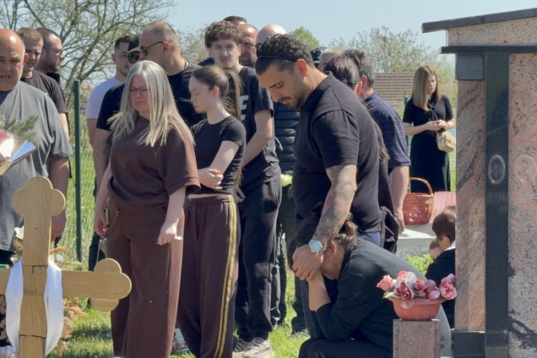 Dragan Lazić, pomen