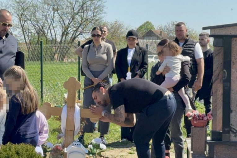 Dragan Lazić, pomen