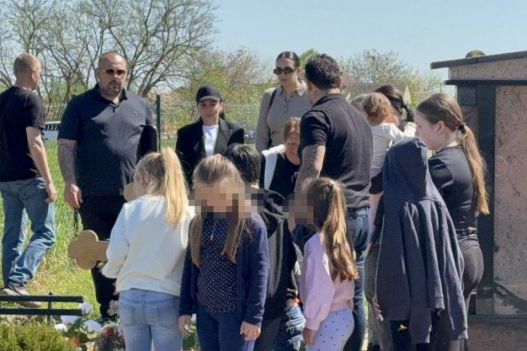 Dragan Lazić, pomen