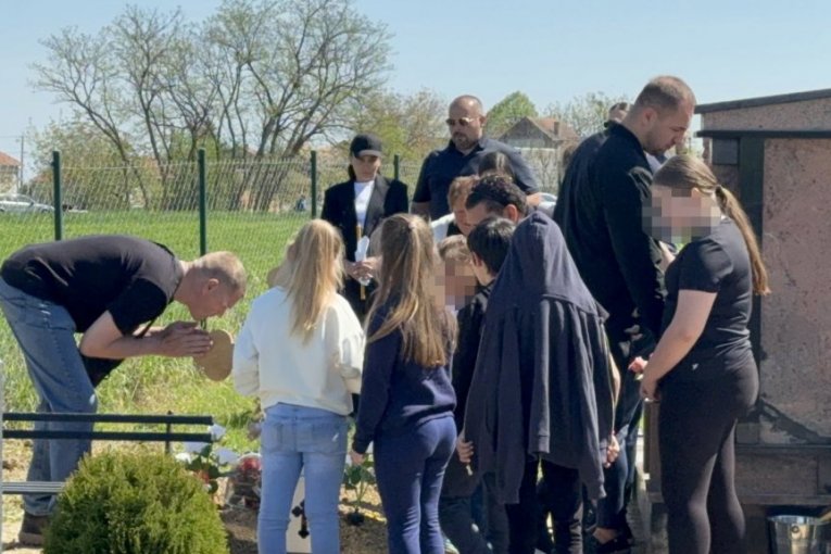 Dragan Lazić, pomen