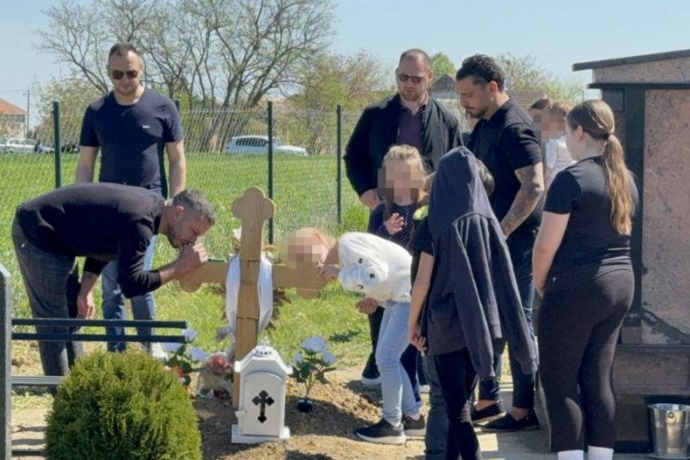 Dragan Lazić, pomen