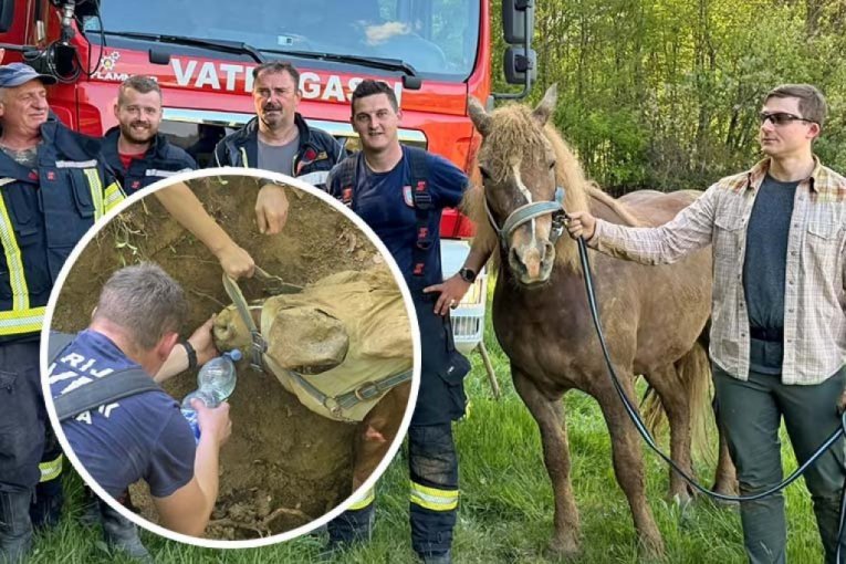 TEŠKA DRAMA U ZAGORJU! ZEMLJA PROGUTALA ČOVEKA I KOBILU TEŠKU POLA TONE! Vatrogasci u teškom poduhvatu izveli akciju veka! (FOTO)