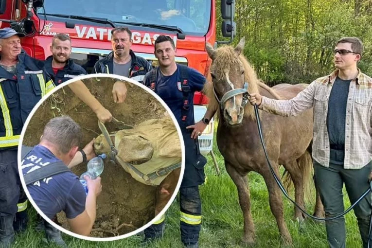ZEMLJA PROGUTALA KOBILU TEŠKU POLA TONE! Ostala ZAROBLJENA, vatrogasci u teškom poduhvatu izveli akciju veka! (FOTO)