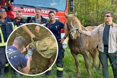 TEŠKA DRAMA U ZAGORJU! ZEMLJA PROGUTALA ČOVEKA I KOBILU TEŠKU POLA TONE! Vatrogasci u teškom poduhvatu izveli akciju veka! (FOTO)