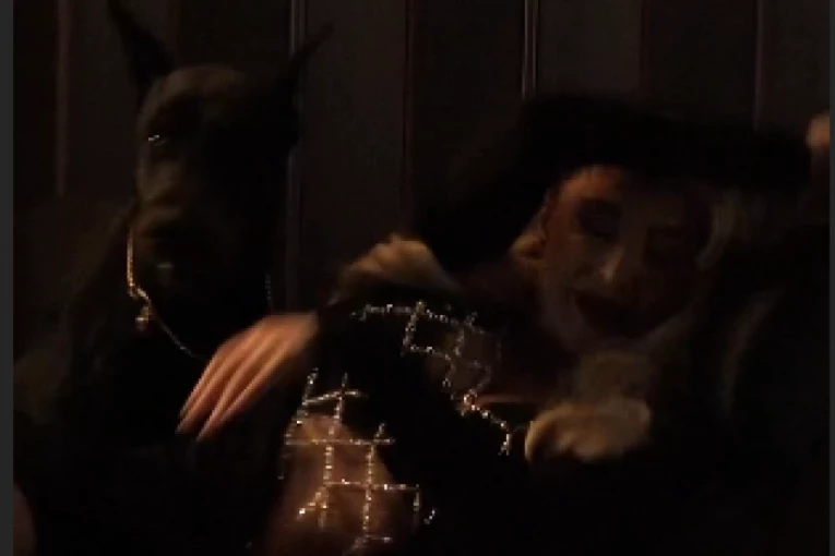 DRAMA NA SNIMANJU NOVOG SPOTA! Pas SKOČIO na Maju Berović: Pevačica doživela neprijatnost, set odmah PREKINUT! (VIDEO)
