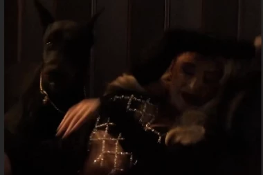 DRAMA NA SNIMANJU NOVOG SPOTA! Pas SKOČIO na Maju Berović: Pevačica doživela neprijatnost, set odmah PREKINUT! (VIDEO)