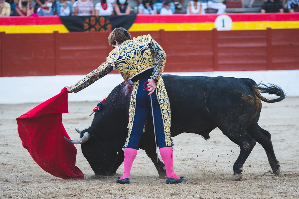 BIK MU ROGOM PROBIO BUTINU! Toreador teško povređen u koridi (FOTO)