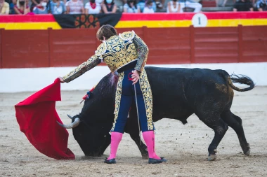 BIK MU ROGOM PROBIO BUTINU! Toreador teško povređen u koridi (FOTO)