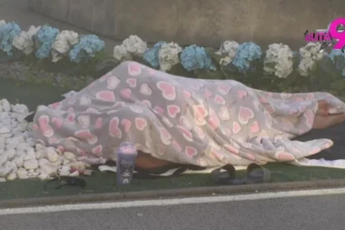 DA, DOBRO STE VIDELI! URADILI SU TO U DVORIŠTU "ELITE"! Asmin Majinim silikonima razvaljuje beton, NIJE ZA ONE SA SLABIM SRCEM!