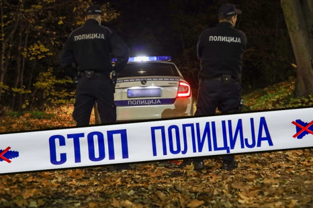 "TUKAO GA MOTKOM DO SMRTI ZBOG OBORENOG STABLA"! Bizaran motiv bratoubustva kod Vladičinog Hana