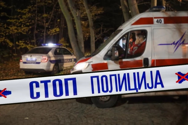 UŽAS U PETROVCU NA MLAVI! Sin upucao majku!