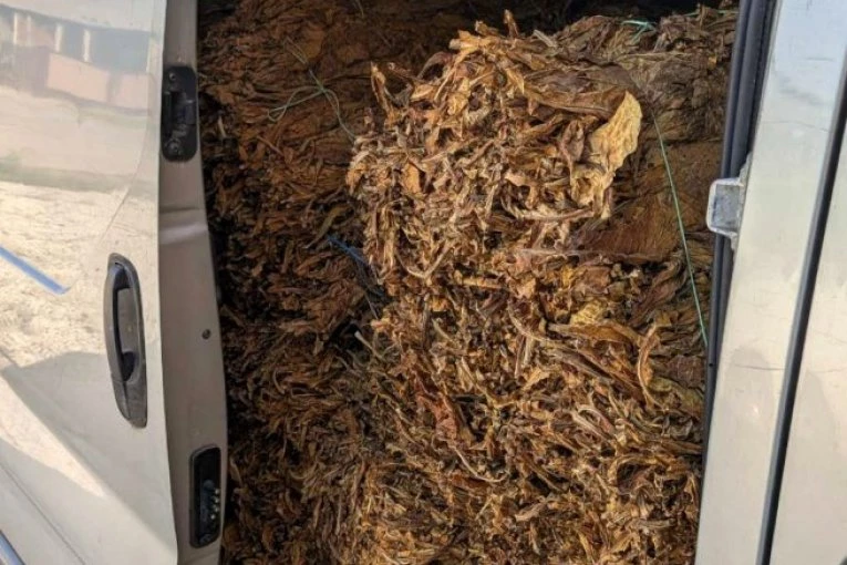 HAOS U PANČEVU! Konfiskovano 140 kilograma rezanog duvana pronađenog u gepeku!