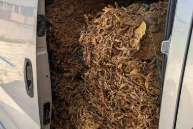 HAOS U PANČEVU! Konfiskovano 140 kilograma rezanog duvana pronađenog u gepeku!