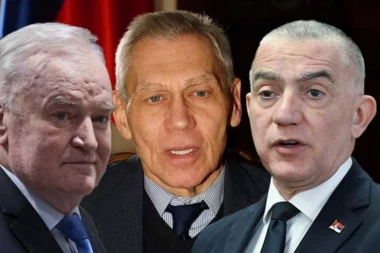 OTKRIVENI DETALJI! Ministar Vujić sa Bocanom Harčenkom razgovarao o zdravstvenom stanju generala Mladića!