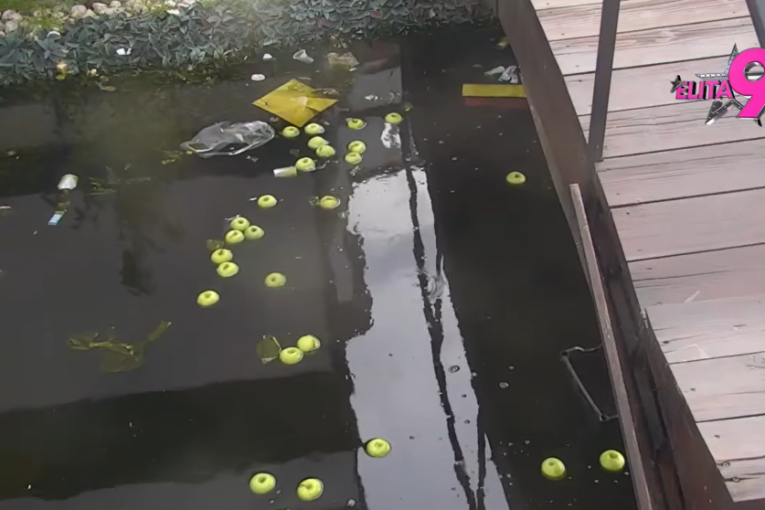 Bora Santana pravi haos u "Eliti 9"