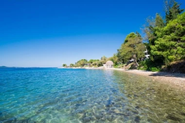NEOČEKIVAN GOST NA PLAŽI! Turisti ostali u šoku kad su videli šta pliva u vodi! (FOTO)