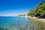 NEOČEKIVAN GOST NA PLAŽI! Turisti ostali u šoku kad su videli šta pliva u vodi! (FOTO)