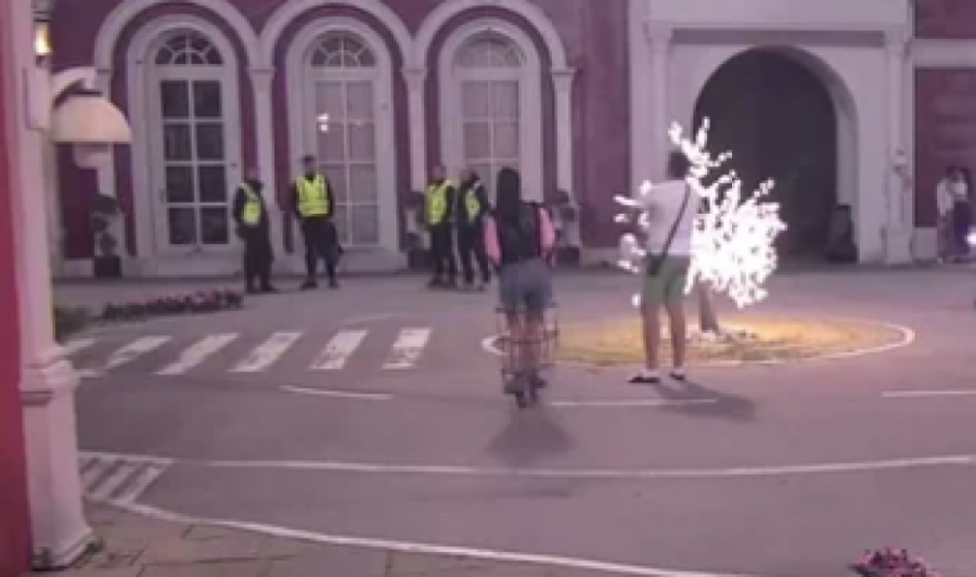 TERZA NASRNUO NA SOFIJU, ONA MU PLJUNULA BARBARU: Obezbeđenje napravilo ŽIVI ZID, opsadno stanje u Eliti!