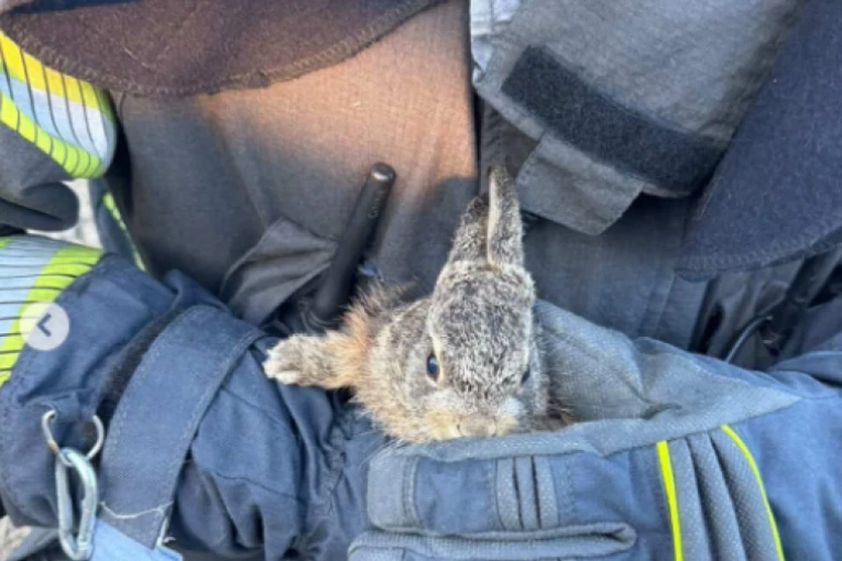 HEROJI PONEKAD NOSE KACIGU, UNIFORMU I VELIKO SRCE! Vatrogasci gasili požar na deponiji u Bačkoj Palanci, pa tamo zatekli NJEGA! (FOTO)