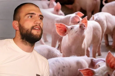 OVO JE PRAVO LICE VELJKA RAŽNATOVIĆA: Progovorili radnici s njegove farme svinja!