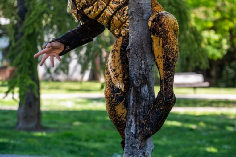 OVO