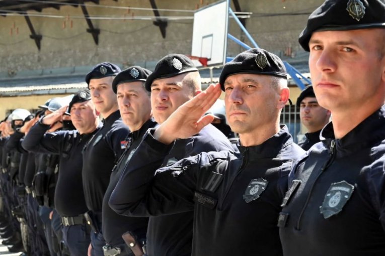 Policijska brigada