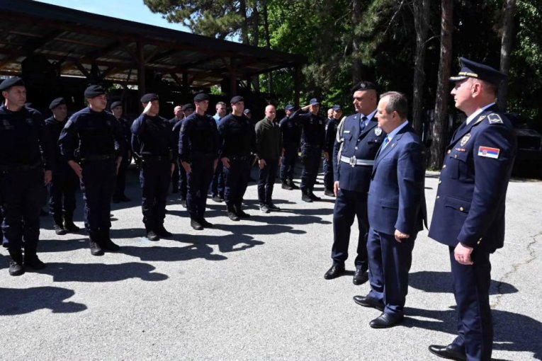 Policijska brigada