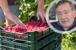 Žena iz Ivanjice PREŽIVELA HANTAVIRUS: Ove simptome je imala - prof. dr Darko Nožić otkriva koliko je bolest opasna i kako se prenosi