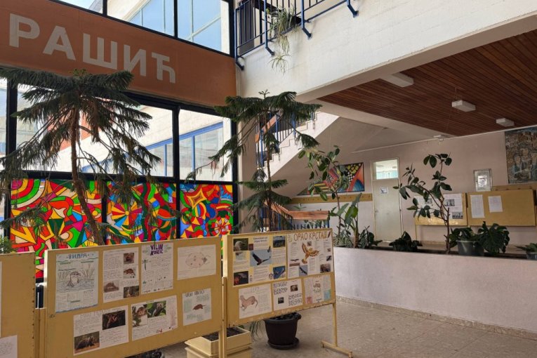 U ovu osnovnu školu u Nišu su išli momci iz grupe "Lavina"