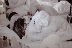 NECENZURISANI SNIMAK FILIPOVOG IŽIVLJAVANJA NAD ANELI! Pijani Đukić se "oduzeo" pod pokrivačem, ona van kontrole!