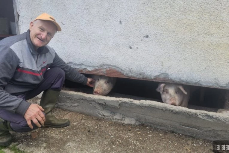 NAJBOLJE ČUJE KAD ZAZVEČI KANTA ZA RUČAK! Čitava Srbija priča o ČUDU SA MALJENA! Rođen je bez ušiju, a svi ga OBOŽAVAJU! (FOTO)