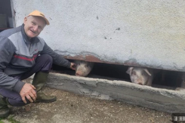 NAJBOLJE ČUJE KAD ZAZVEČI KANTA ZA RUČAK! Čitava Srbija priča o ČUDU SA MALJENA! Rođen je bez ušiju, a svi ga OBOŽAVAJU! (FOTO)