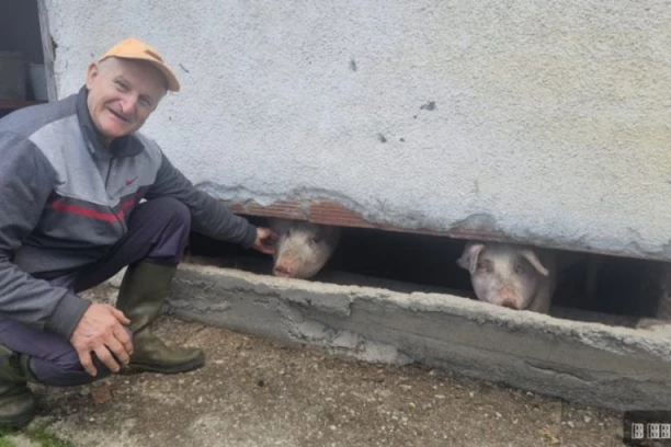 NAJBOLJE ČUJE KAD ZAZVEČI KANTA ZA RUČAK! Čitava Srbija priča o ČUDU SA MALJENA! Rođen je bez ušiju, a svi ga OBOŽAVAJU! (FOTO)