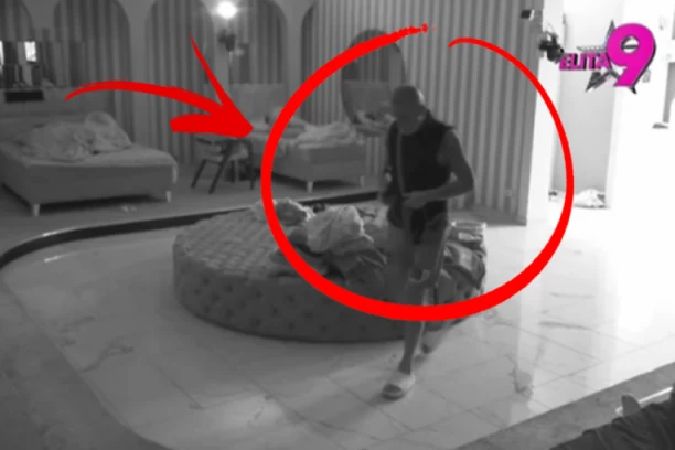 KAMERE UHVATILE LEPOG MIĆU NA DELU! Evo šta KRIŠOM RADI dok svi spavaju- ŠOK!