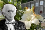 DETALJ NA GROBU NIKOLE SIMIĆA JEŽI DO KOSTIJU! Danas bi proslavio 92. rođendan, a evo šta je ostavljeno za pokojnog glumca! (VIDEO)