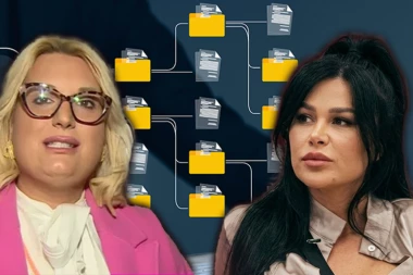FAJLOVI O STANIJI DOBROJEVIĆ OBELODANJENI: U Tamarinim FOLDERIMA se krije istina, OVO ne sme da bude otvoreno!