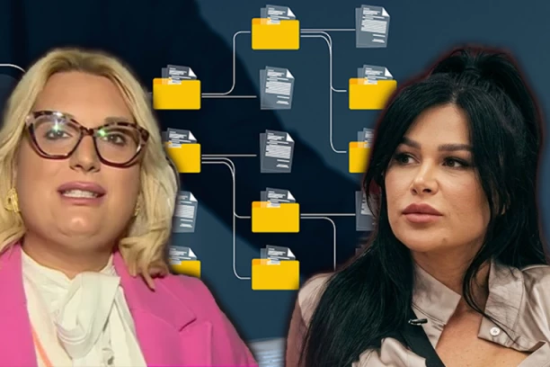 FAJLOVI O STANIJI DOBROJEVIĆ OBELODANJENI: U Tamarinim FOLDERIMA se krije istina, OVO ne sme da bude otvoreno!