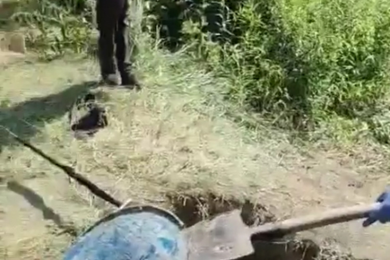 Sumnja se da je ovde pronađeno Nešovićevo telo