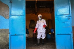 SMRTONOSNA EPIDEMIJA IZMIČE KONTROLI! Desetine MRTVIH, hiljade ZARAŽENIH – bolnice PREPUNE pacijenata!