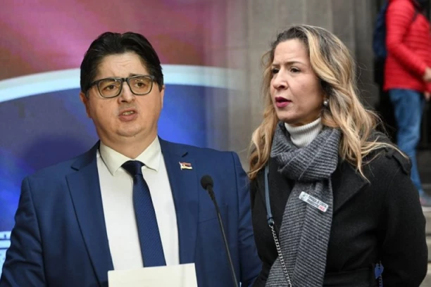 "POKRENUTI ODMAH POSTUPAK PROTIV BOJANE SAVOVIĆ": Mrdić se oglasio posle učešća tužiteljke na političkom skupu