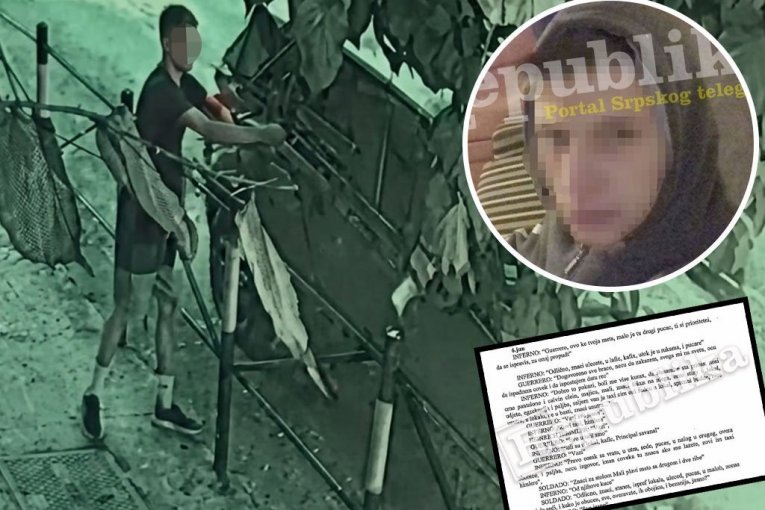 ЭКСКЛЮЗИВ! ЭТО ЗАКАЗЧИКИ УБИЙСТВА ИВАНА АЛЕКСИЧА! Раскрываем детали обвинения и признание Николы Бабича в убийстве в центре Белграда! (ШОКИРУЮЩЕЕ ВИДЕО)
