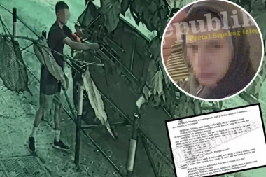 EKSKLUZIVNO! OVO SU NALAGODAVCI UBISTVA IVANA ALEKSIĆA! Otkrivamo detalje optužnice i priznanja Nikole Babića za likvidaciju u centru Beograda! (UZNEMIRUJUĆI VIDEO)