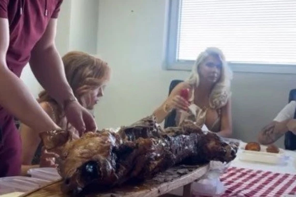 PROCURIO KRIŠOM SNIMAN VIDEO IZ VIKINOG TELEFONA! Karleušu do sada ovakvu nismo videli - KRKA SE PRASETINA! (VIDEO, GALERIJA)