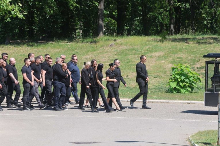 Udovica Jelena sa članovima porodice