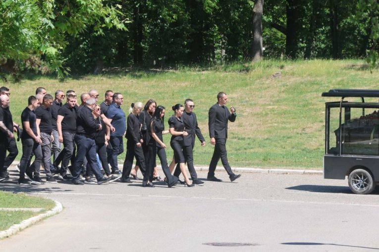 Udovica Jelena sa članovima porodice