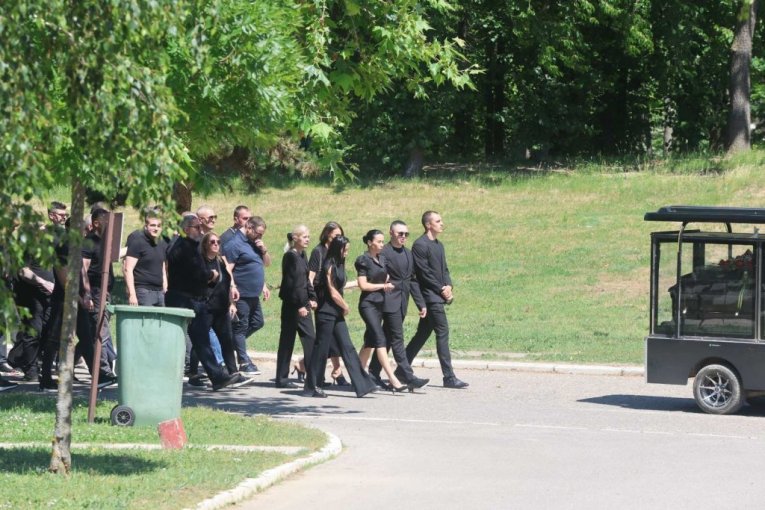 Udovica Jelena sa članovima porodice